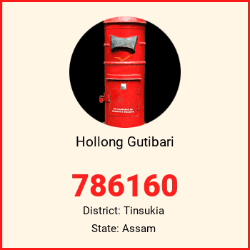 Hollong Gutibari pin code, district Tinsukia in Assam