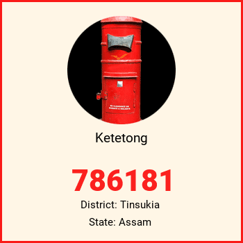 Ketetong pin code, district Tinsukia in Assam