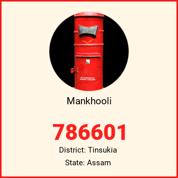 Mankhooli pin code, district Tinsukia in Assam