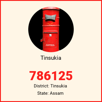 Tinsukia pin code, district Tinsukia in Assam