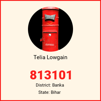 Telia Lowgain pin code, district Banka in Bihar