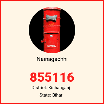 Nainagachhi pin code, district Kishanganj in Bihar