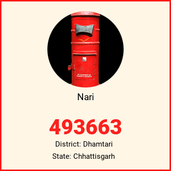 Nari pin code, district Dhamtari in Chhattisgarh