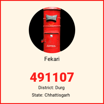 Fekari pin code, district Durg in Chhattisgarh