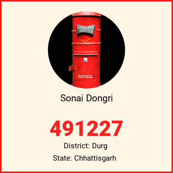 Sonai Dongri pin code, district Durg in Chhattisgarh