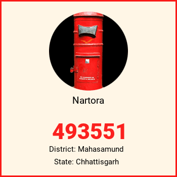 Nartora pin code, district Mahasamund in Chhattisgarh