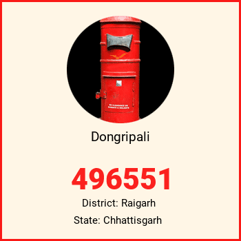 Dongripali pin code, district Raigarh in Chhattisgarh
