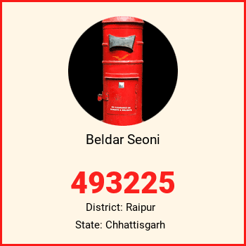 Beldar Seoni pin code, district Raipur in Chhattisgarh
