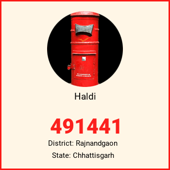 Haldi pin code, district Rajnandgaon in Chhattisgarh