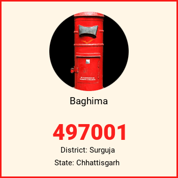 Baghima pin code, district Surguja in Chhattisgarh