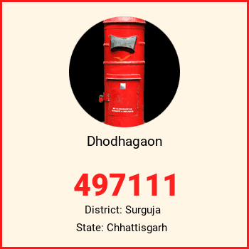 Dhodhagaon pin code, district Surguja in Chhattisgarh