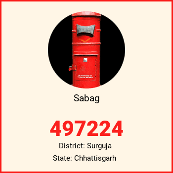Sabag pin code, district Surguja in Chhattisgarh