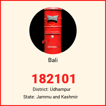 Bali pin code, district Udhampur in Jammu and Kashmir