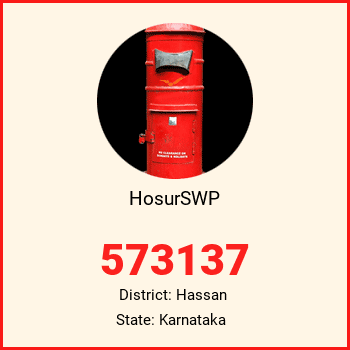 HosurSWP pin code, district Hassan in Karnataka