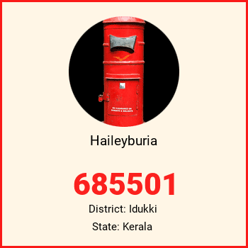 Haileyburia pin code, district Idukki in Kerala
