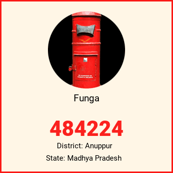 Funga pin code, district Anuppur in Madhya Pradesh