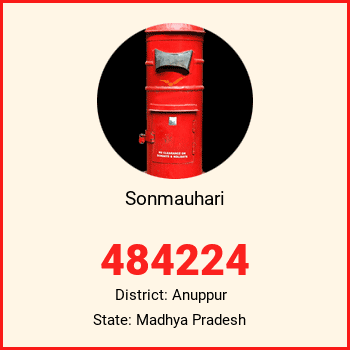 Sonmauhari pin code, district Anuppur in Madhya Pradesh