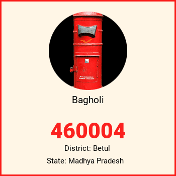Bagholi pin code, district Betul in Madhya Pradesh