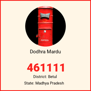 Dodhra Mardu pin code, district Betul in Madhya Pradesh