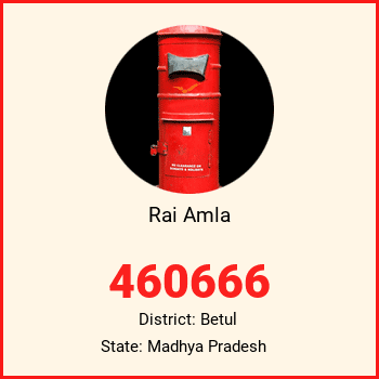 Rai Amla pin code, district Betul in Madhya Pradesh