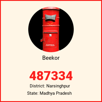 Beekor pin code, district Narsinghpur in Madhya Pradesh