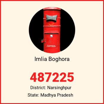 Imlia Boghora pin code, district Narsinghpur in Madhya Pradesh
