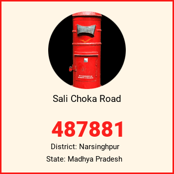 Sali Choka Road pin code, district Narsinghpur in Madhya Pradesh
