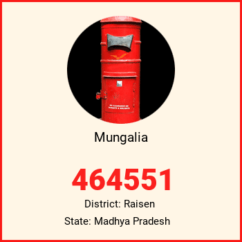 Mungalia pin code, district Raisen in Madhya Pradesh