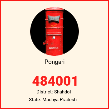 Pongari pin code, district Shahdol in Madhya Pradesh