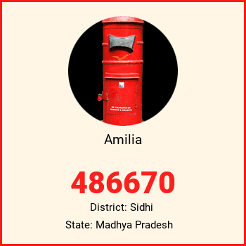 Amilia pin code, district Sidhi in Madhya Pradesh