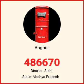 Baghor pin code, district Sidhi in Madhya Pradesh