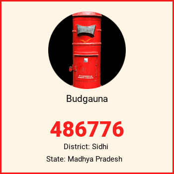 Budgauna pin code, district Sidhi in Madhya Pradesh
