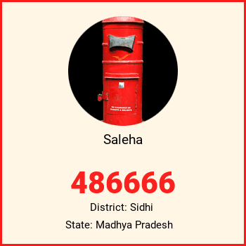 Saleha pin code, district Sidhi in Madhya Pradesh