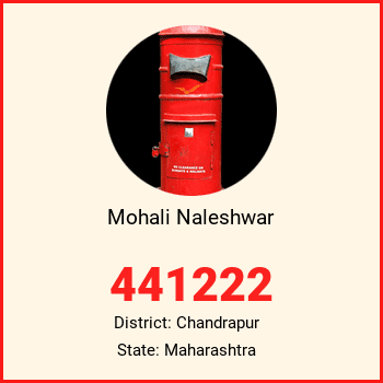 Mohali Naleshwar pin code, district Chandrapur in Maharashtra