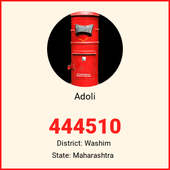 Adoli pin code, district Washim in Maharashtra