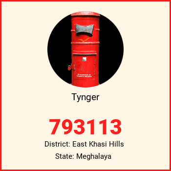 Tynger pin code, district East Khasi Hills in Meghalaya