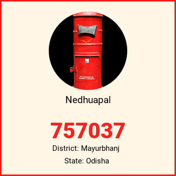 Nedhuapal pin code, district Mayurbhanj in Odisha