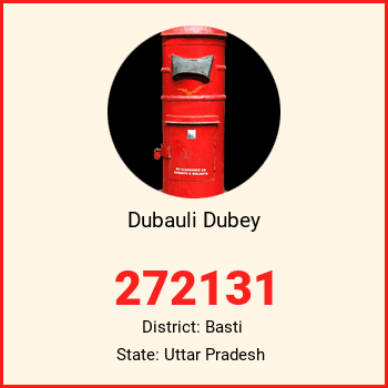 Dubauli Dubey pin code, district Basti in Uttar Pradesh