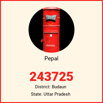 Pepal pin code, district Budaun in Uttar Pradesh