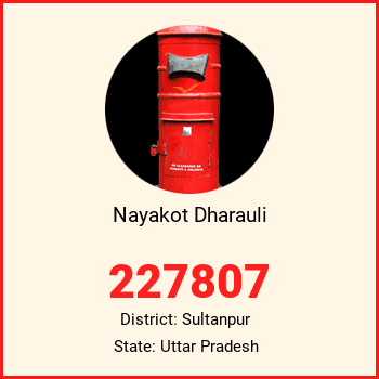 Nayakot Dharauli pin code, district Sultanpur in Uttar Pradesh