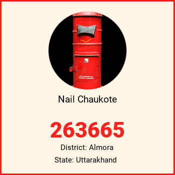 Nail Chaukote pin code, district Almora in Uttarakhand