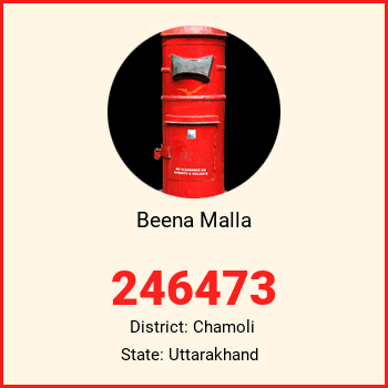 Beena Malla pin code, district Chamoli in Uttarakhand