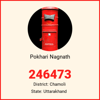 Pokhari Nagnath pin code, district Chamoli in Uttarakhand