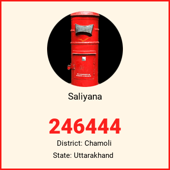 Saliyana pin code, district Chamoli in Uttarakhand