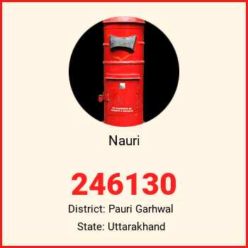 Nauri pin code, district Pauri Garhwal in Uttarakhand